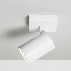 Ascoli single spotlight matt vit