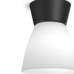 Bizzo plafond mattsvart/opalglas