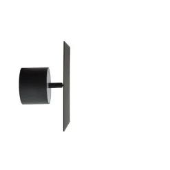 Chameleon vägglampa burned black