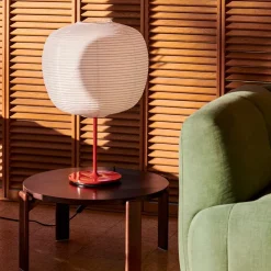 Common Lampfot Signal red