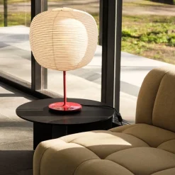Common Lampfot Signal red