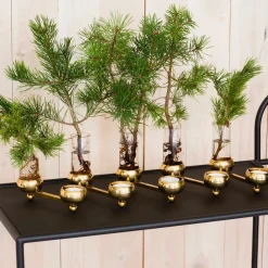 Constella insats vas 5-pack