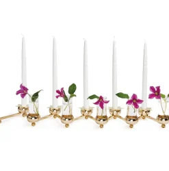 Constella stjärnmanchetter 5-pack