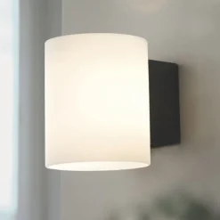 Evoke S vägglampa IP44 antracit/opal glas
