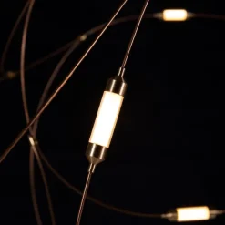 Flock of Light 11