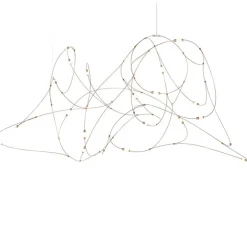 Flock of Light 21