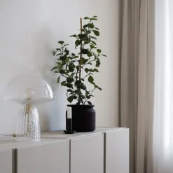 Fungo 22 bordslampa klar