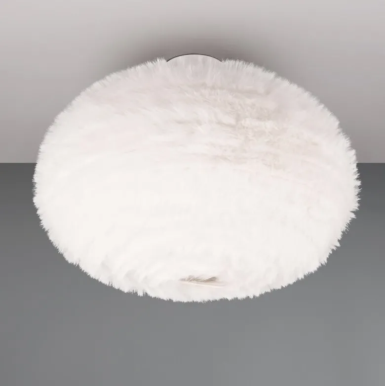 Furry plafond sand