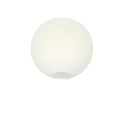 Glob Ø26 plafond opalglas