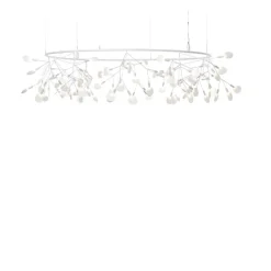Heracleum III The Big O Small white