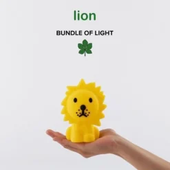 Lion bundle of light