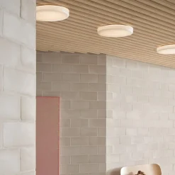 Looped Plafond/Vägglampa m dimmer och brytare vit