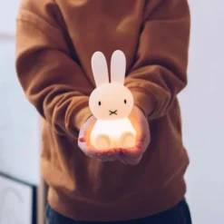 Miffy bundle of light