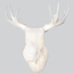 Moo Vägglampa