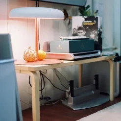 Mushroom bordslampa rönnbär