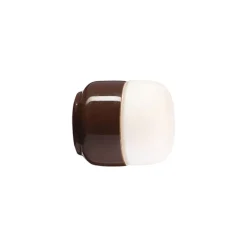 Ohm 100/110 tak-/vägglampa IP44 G9 brun/matt opal