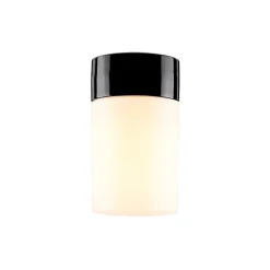 Opus 120/200 taklampa/vägglampa opalglas/svart IP54