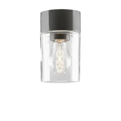 Opus 100/175 Vägglampa/taklampa Klarglas/Grå IP44