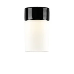 Opus 100/175 Vägglampa/Taklampa Svart/opalglas IP44