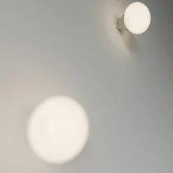 Ovoid Sconce plafond/vägglampa stainless steel