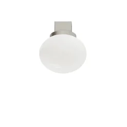 Ovoid Sconce plafond/vägglampa stainless steel