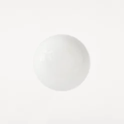 Ovoid Sconce plafond/vägglampa stainless steel