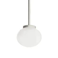 Ovoid single taklampa stainless steel