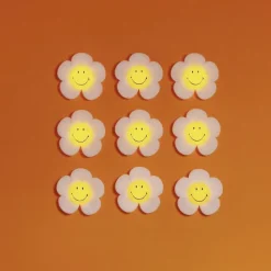 Smiley Daisy Day Light bundle of light