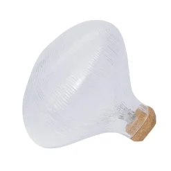 Tidelight golv/bordslampa transparent