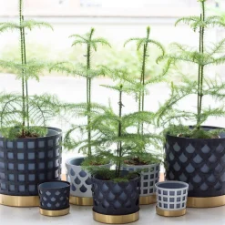 Trio drop blomkruka Liten vit
