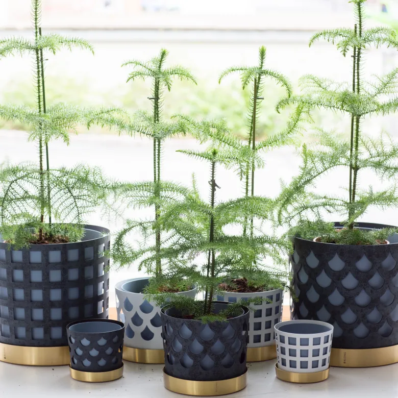 Trio drop blomkruka Liten vit