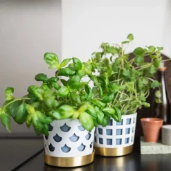 Trio drop blomkruka Liten vit