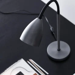 Trotsig bordslampa oxidgrå