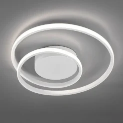 Zibal plafond vit